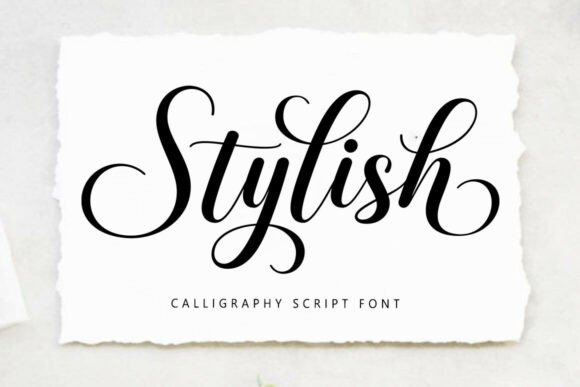 Discover the Stylish Script Font: Elegance for Modern Design