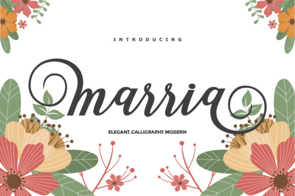 Marria Script: A Designer's Guide to This Elegant Font